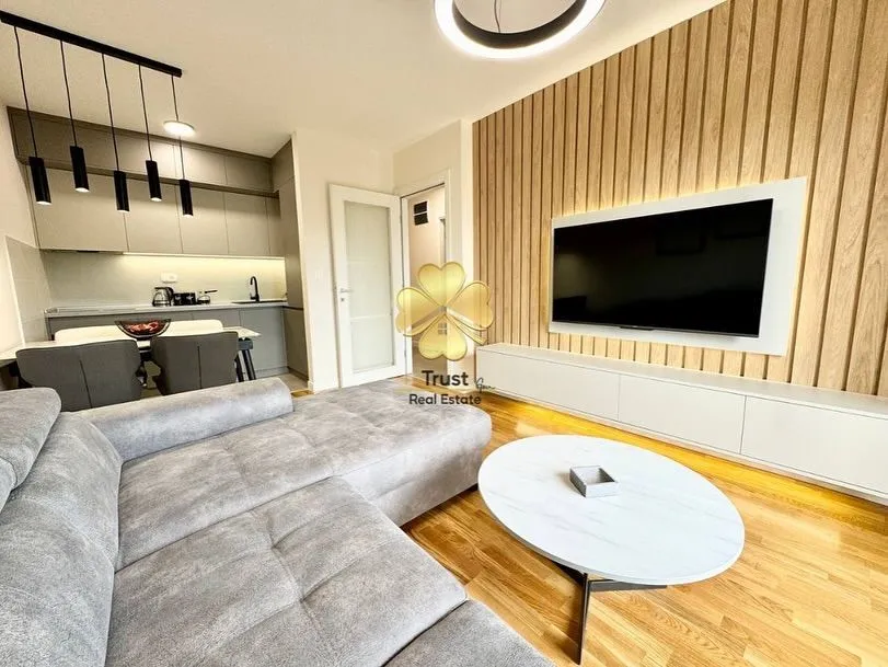 Rent, one bedroom apartment, 47m², Pobrežje, Podgorica