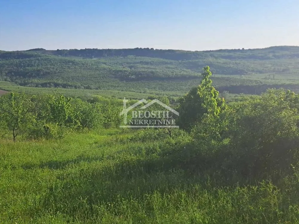 Prodaja, plac, 10000m², Ritopek, Grocka