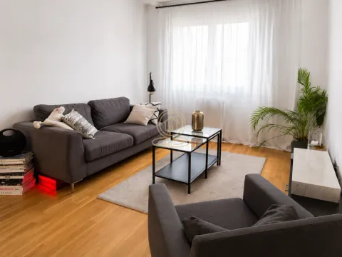 Izdavanje, dvosoban stan, 44m², Vračar Sve Podlokacije, Beograd - image 2