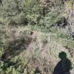 Prodaja, plac, 1290m², Kotor, Crna Gora - image 2