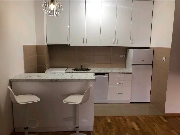 Izdavanje, jednosoban stan, 45m², Tuški Put, Podgorica