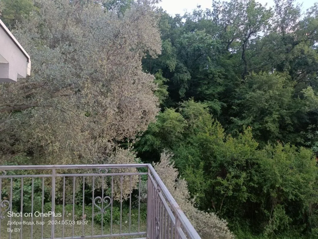 Rent, house, 182m², Dobra Voda, Budva