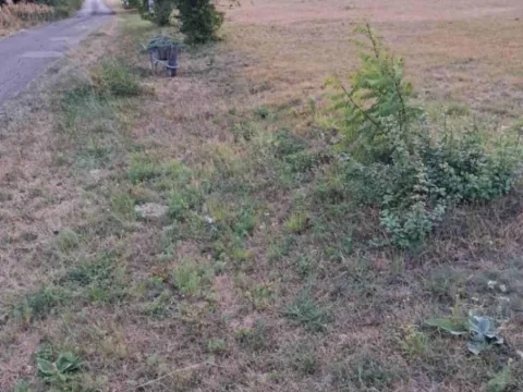 Sale, land lot, 1311m², Rastovac, Nikšić - image 5