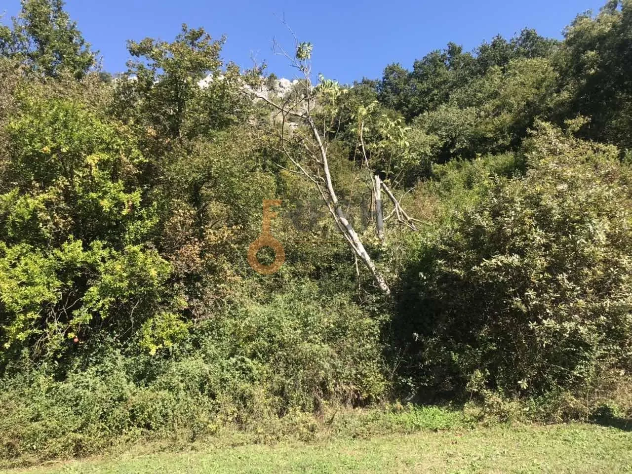 Prodaja, plac, 15000m², Danilovgrad, Crna Gora