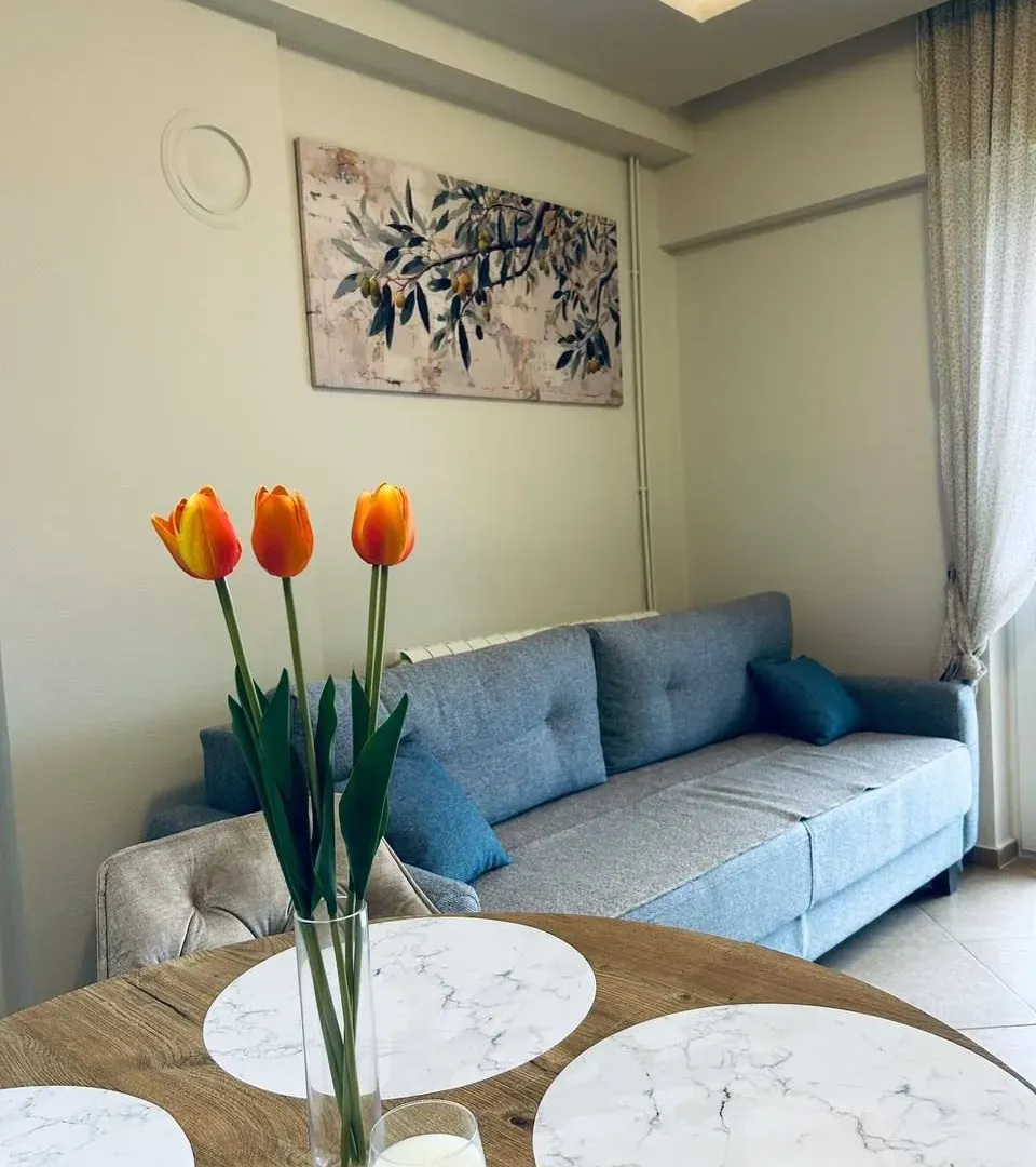 Rent, one bedroom apartment, 36m², Dobrota, Kotor