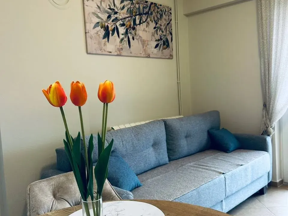 Rent, one bedroom apartment, 36m², Dobrota, Kotor