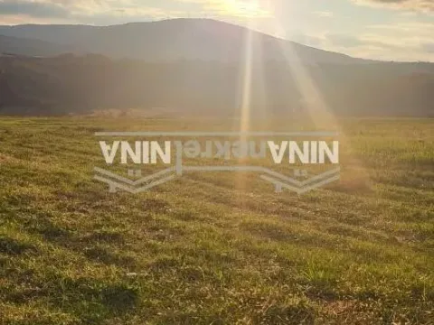 Sale, land lot, 19200m², Babe, Sopot - image 5