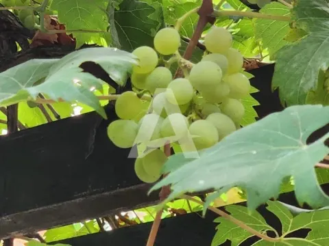 Sale, house, 198m², Šušanj, Bar - image 3