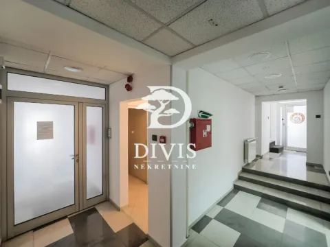 Rent, office space, 216m², Zemun Gornji Grad, Zemun Sve Podlokacije - image 18