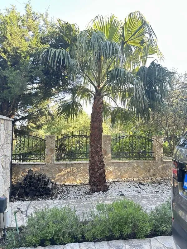 Sale, house, 183m², Zagrad, Berane