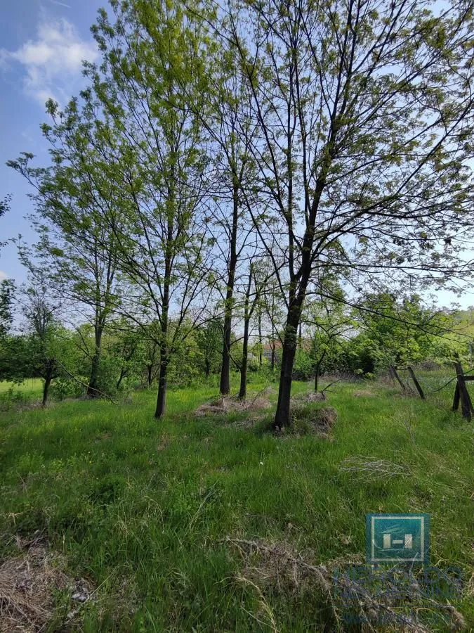 Prodaja, kuća, 200m², Šantarovac, Jagodina
