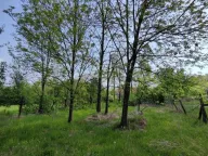 Prodaja, kuća, 200m², Šantarovac, Jagodina - image 5