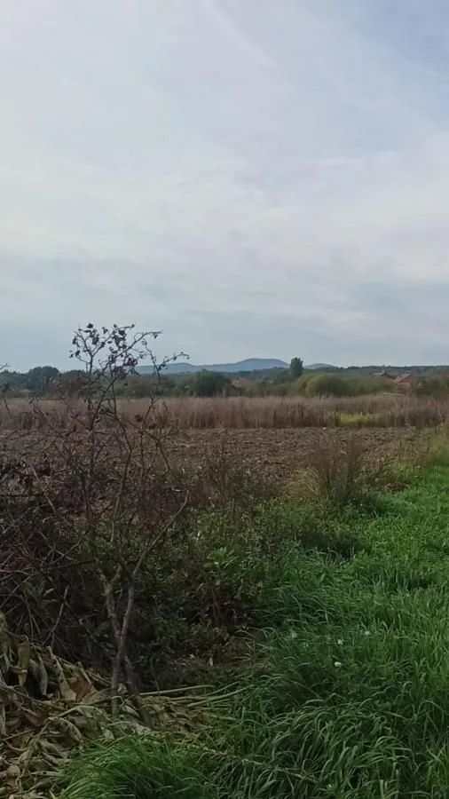 Prodaja, plac, 661m², Jagodina, Srbija