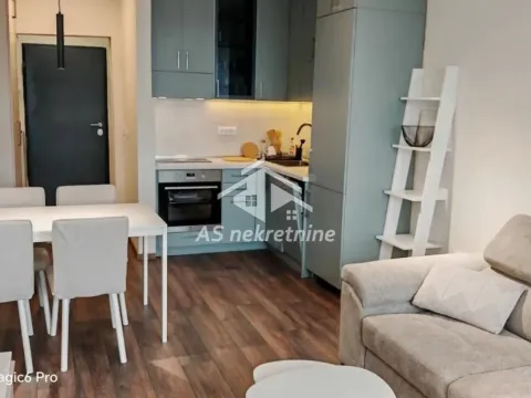 Izdavanje, dvosoban stan, 40m², Stari Grad, Beograd - image 10