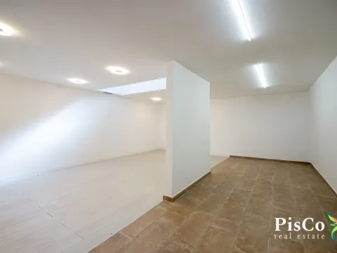Izdavanje, poslovni prostor, 294m², Podgorica, Crna Gora - image 4