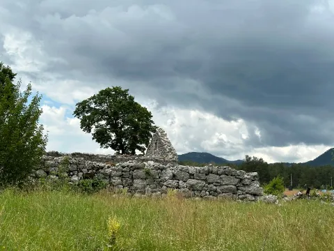 Prodaja, plac, 1000m², Grahovo, Nikšić - image 2
