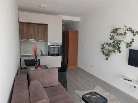 Izdavanje, garsonjera, 24m², Stari Aerodrom, Podgorica - image 1