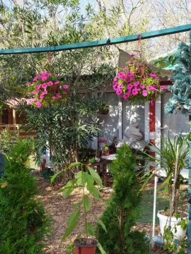 Sale, house, 120m², Ada Bojana, Ulcinj - image 4