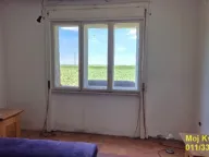 Prodaja, ugostiteljski objekat, 491m², Čenej, Novi Sad Sve Podlokacije - image 9