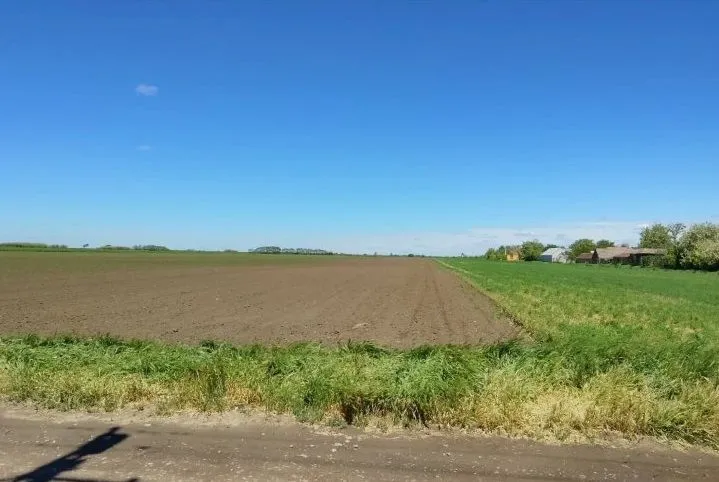 Prodaja, plac, 570m², Bečej, Novi Sad