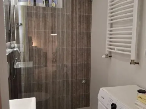 Rent, one bedroom apartment, 31m², Novi Beograd Sve Podlokacije, Beograd - image 6