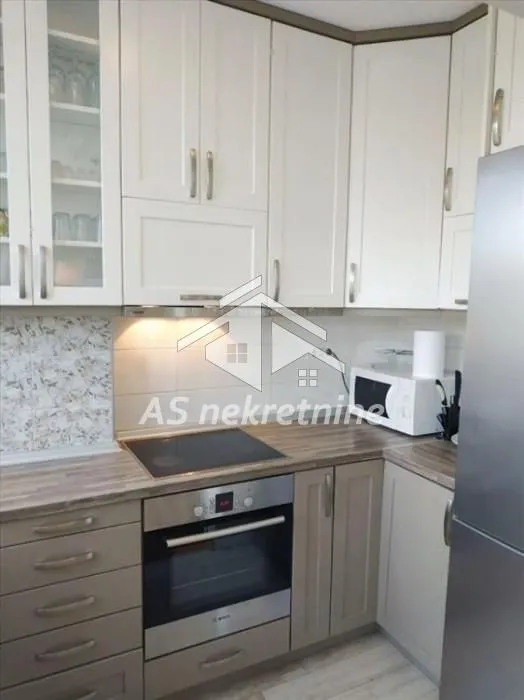 Izdavanje, četvorosoban stan, 80m², Profesorska Kolonija, Palilula Sve Podlokacije
