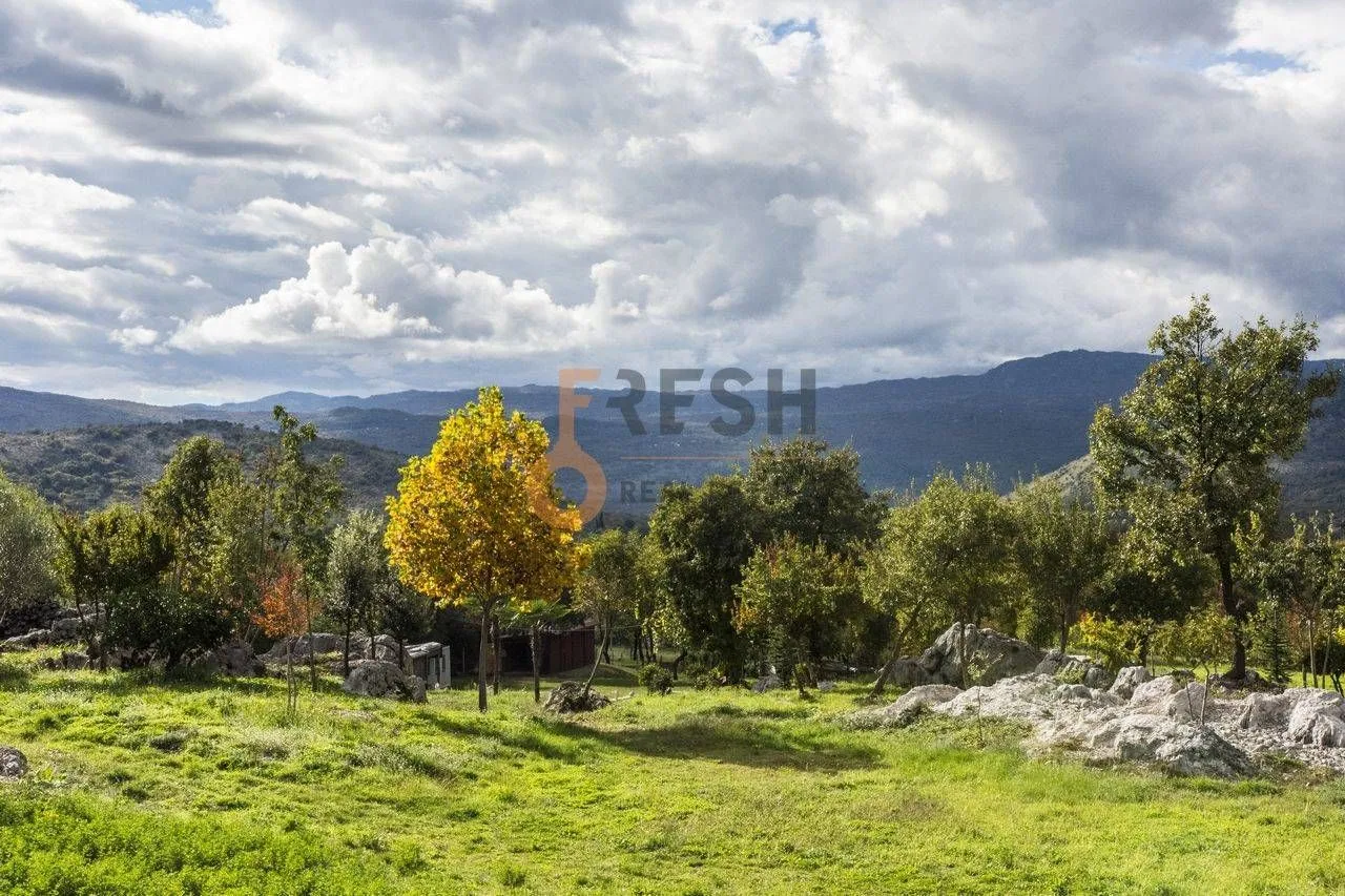 Prodaja, plac, 36246m², Danilovgrad, Crna Gora