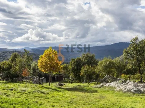 Prodaja, plac, 36246m², Danilovgrad, Crna Gora - image 9