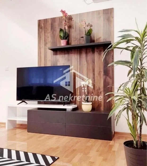 Izdavanje, dvosoban stan, 51m², Cvetkova Pijaca, Zvezdara Sve Podlokacije