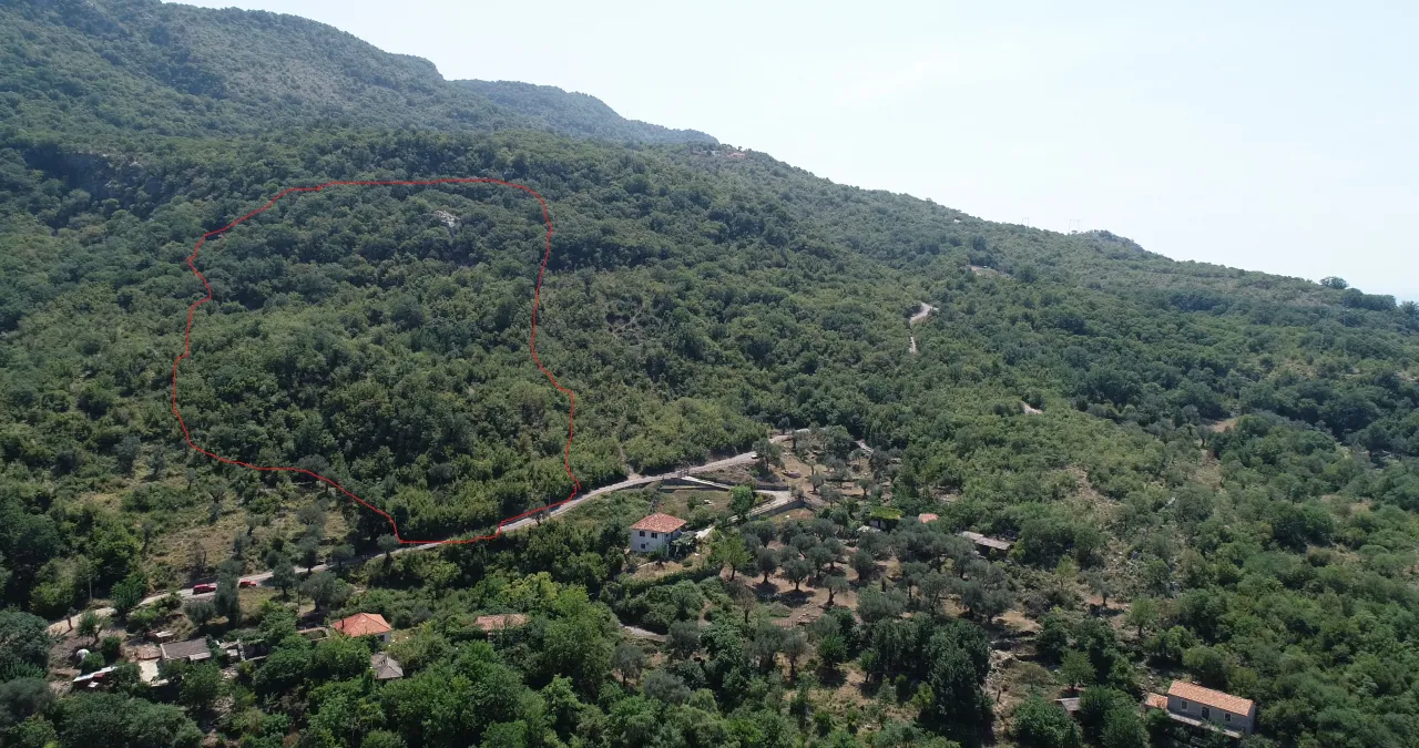 Prodaja, plac, 30000m², Bar, Crna Gora