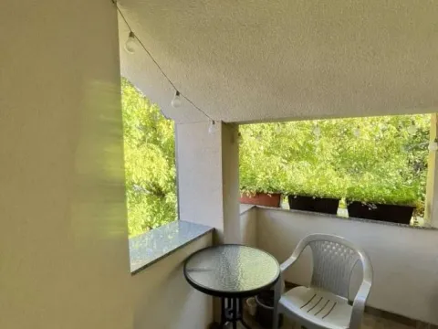 Izdavanje, dvosoban stan, 60m², Zemun Sve Podlokacije, Beograd - image 2