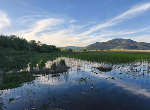 Prirodni pejzaž sa močvarom i pogledom na brda. - image 3