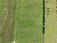 Prodaja, plac, 1677m², Begovina, Danilovgrad - image 1