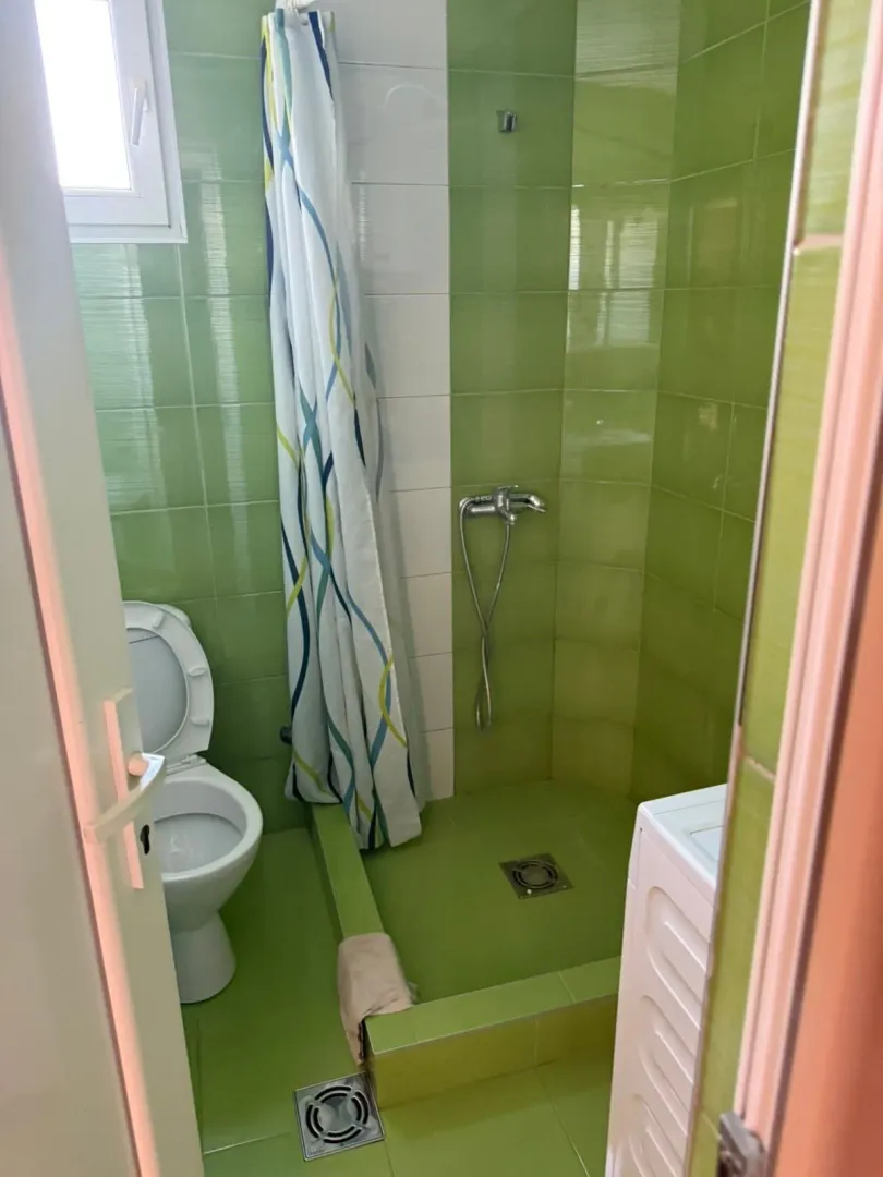 Smaller bathroom with green tiles, a shower, and a toilet.
