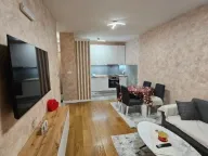 Izdavanje, jednosoban stan, 45m², Zabjelo, Podgorica - image 11