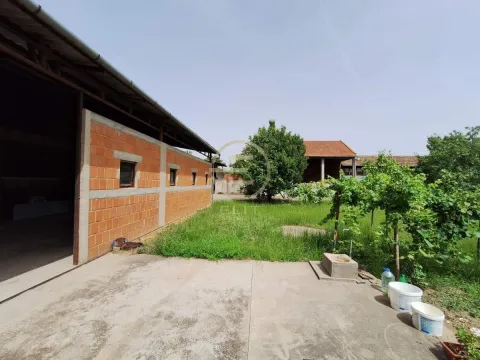 Prodaja, kuća, 231m², Novi Bečej, Zrenjanin - image 15