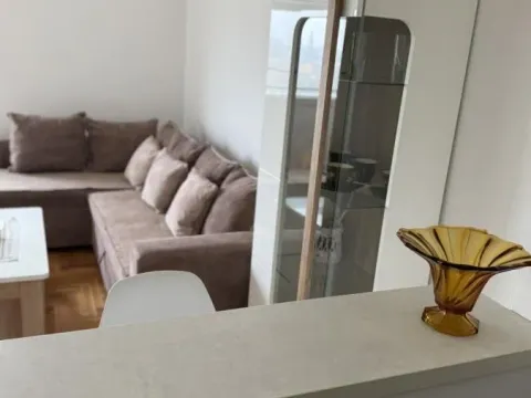 Rent, one bedroom apartment, 40m², Nova Detelinara, Novi Sad Sve Podlokacije - image 4