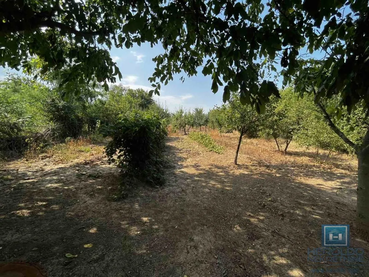 Sale, house, 65m², Kovačevac, Jagodina