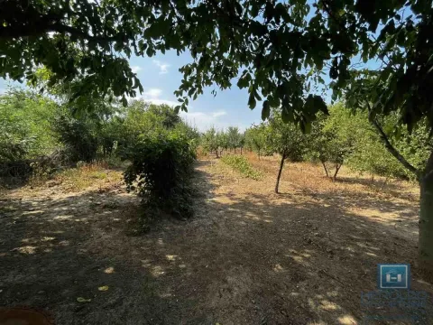 Sale, house, 65m², Kovačevac, Jagodina - image 21