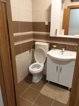 Izdavanje, garsonjera, 30m², Ljubović, Podgorica - image 13