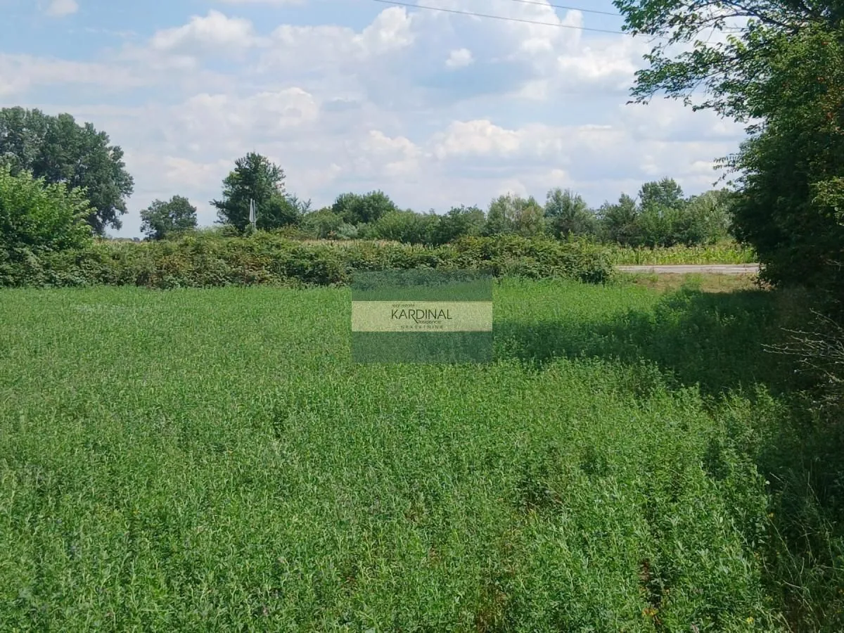 Prodaja, plac, 7500m², Novo Lanište, Jagodina