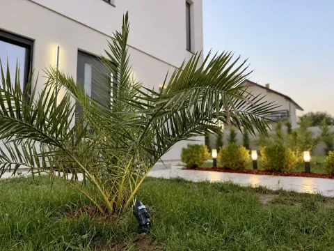 View of the landscaped courtyard and house facade with a palm tree and lighting. - image 5