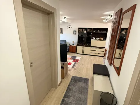 Izdavanje, jednosoban stan, 45m², Centar, Cetinje - image 10