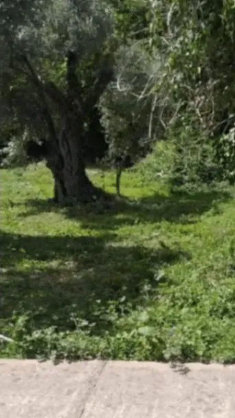 Sale, land lot, 655m², Reževići, Budva