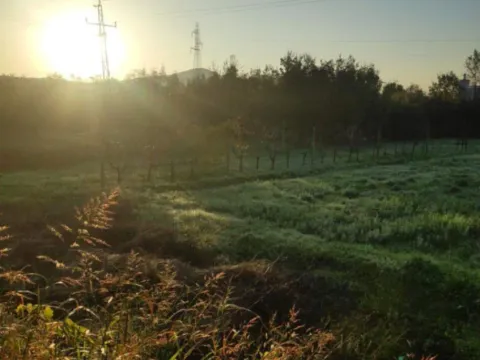 Prodaja, kuća, 82m², Lješanska Nahija, Podgorica - image 2