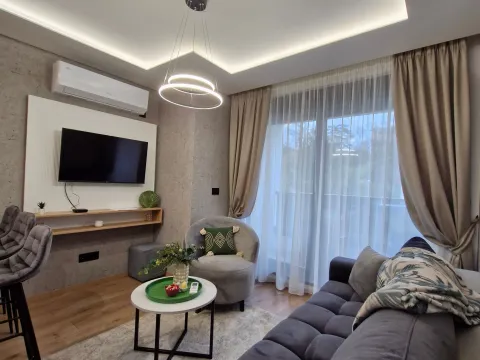 Daily-rent, one bedroom apartment, 34m², Centar, Vrnjačka Banja - image 5