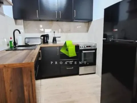 Rent, one bedroom apartment, 48m², Pantelej, Niš - image 4