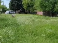 Sale, house, 2401m², Rogami, Podgorica - image 5