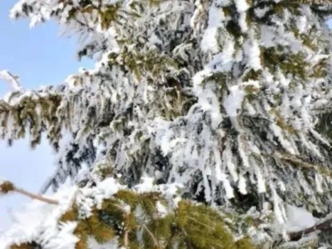 Sale, land lot, 1143m², Zlatibor, Srbija - image 9