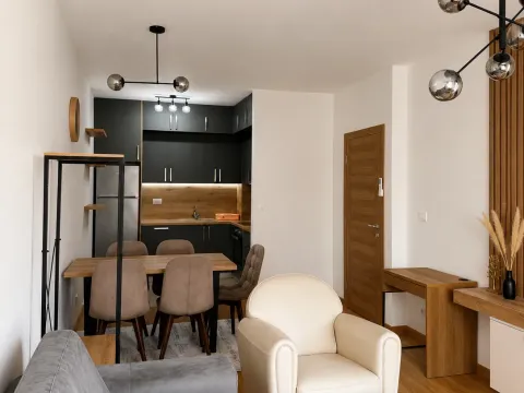 Izdavanje, jednosoban stan, 48m², New City, Podgorica - image 3